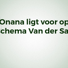 onana vd sar schema stats